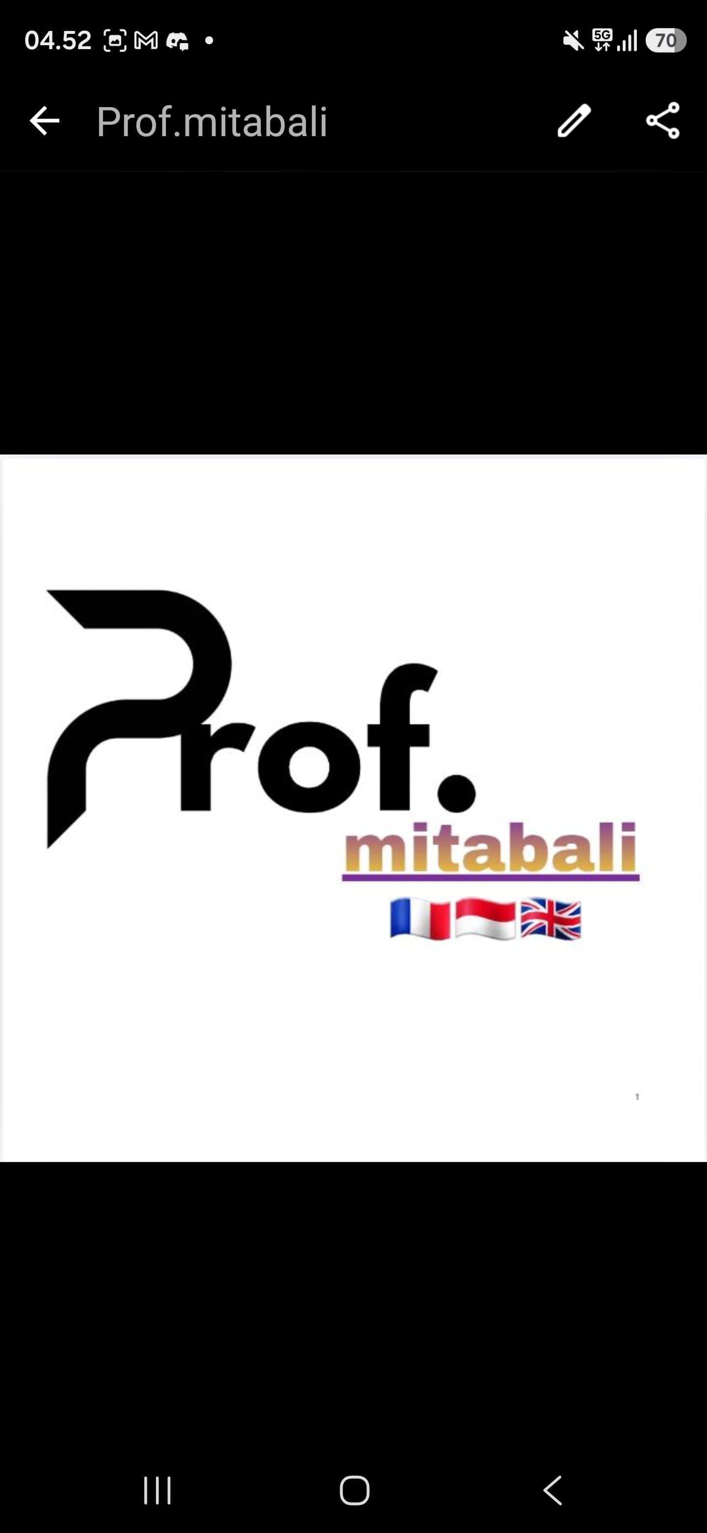 Logo "Prof. mitabali" avec les drapeaux français, indonésien et britannique sur fond blanc.