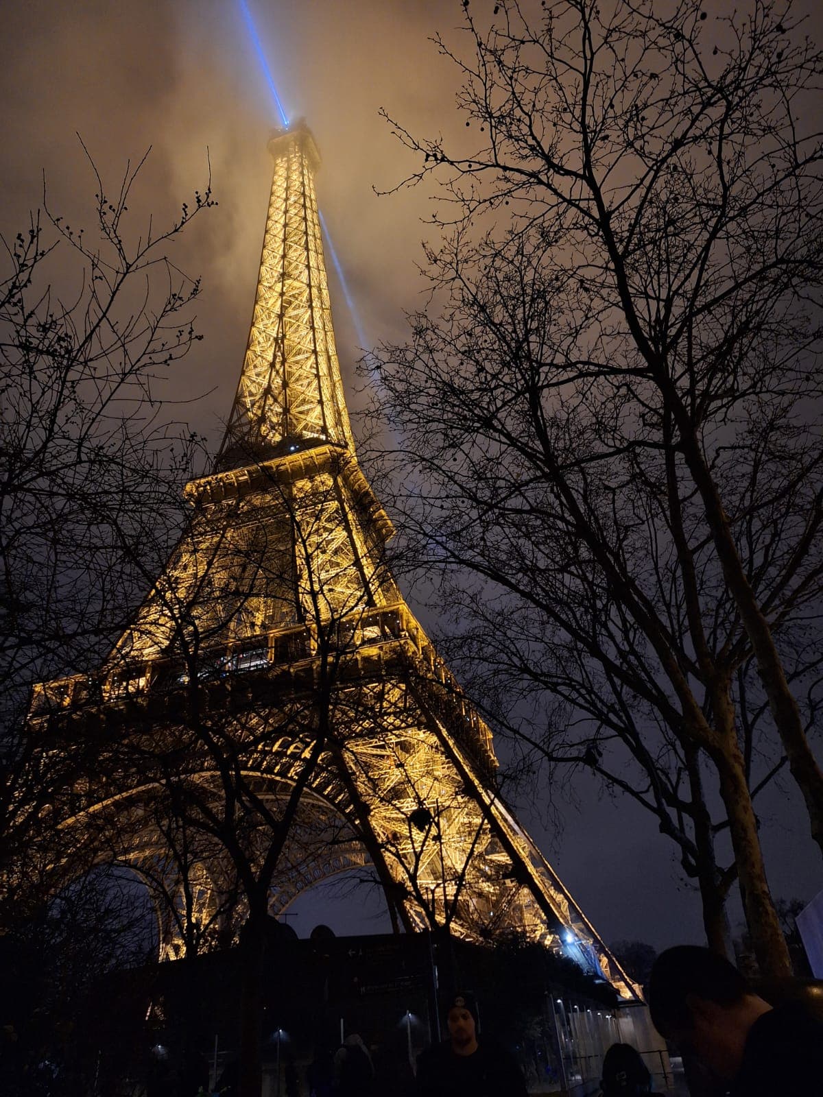 Tour Eiffel illuminée la nuit avec un faisceau bleu, encadrée par des branches d'arbres.
